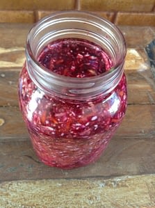 RECIPE - Kimchi body