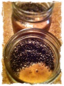 RECIPE - beyond chia pudding - body