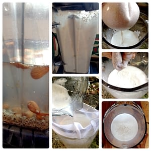 recipe - almond milk body